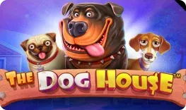 King Casino offre il gioco online The Dog House